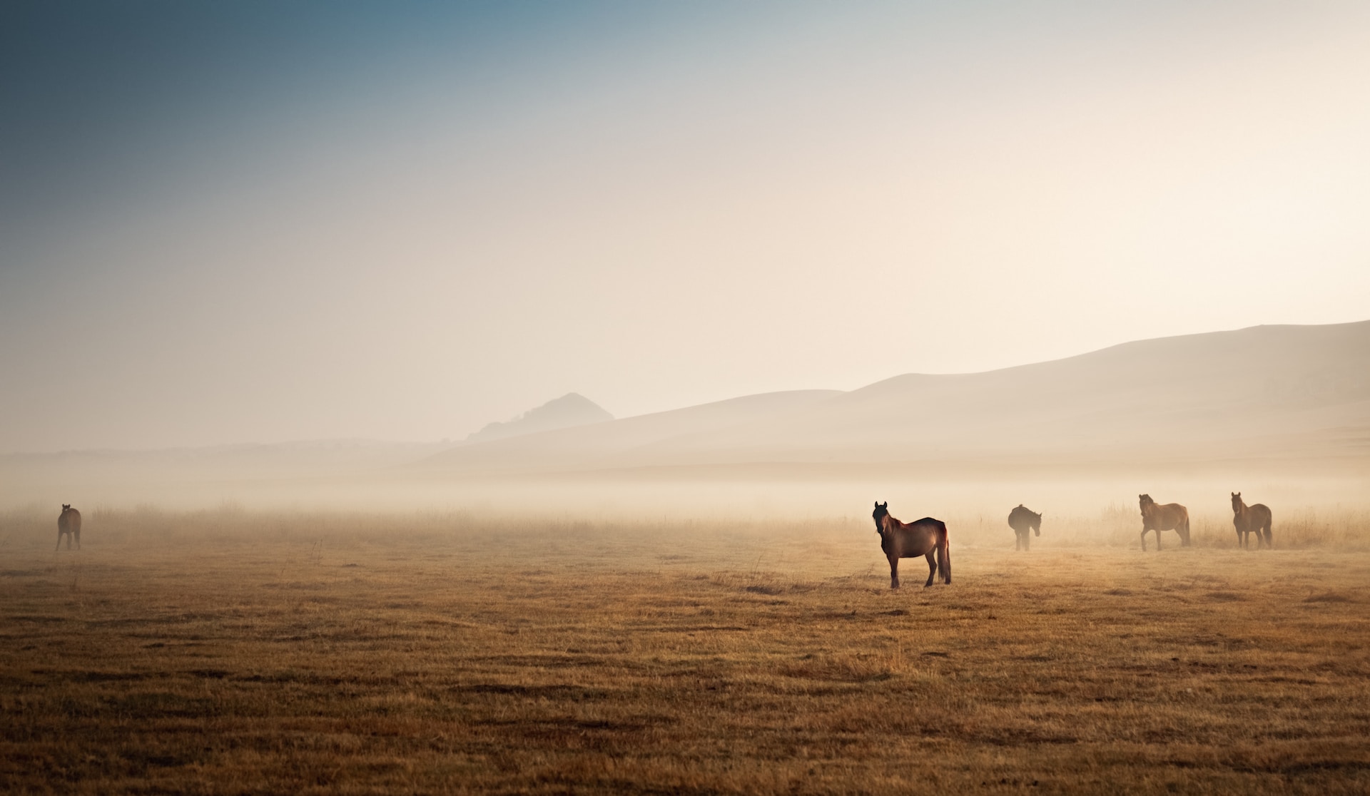 Photo by Joseph Daniel on Unsplash